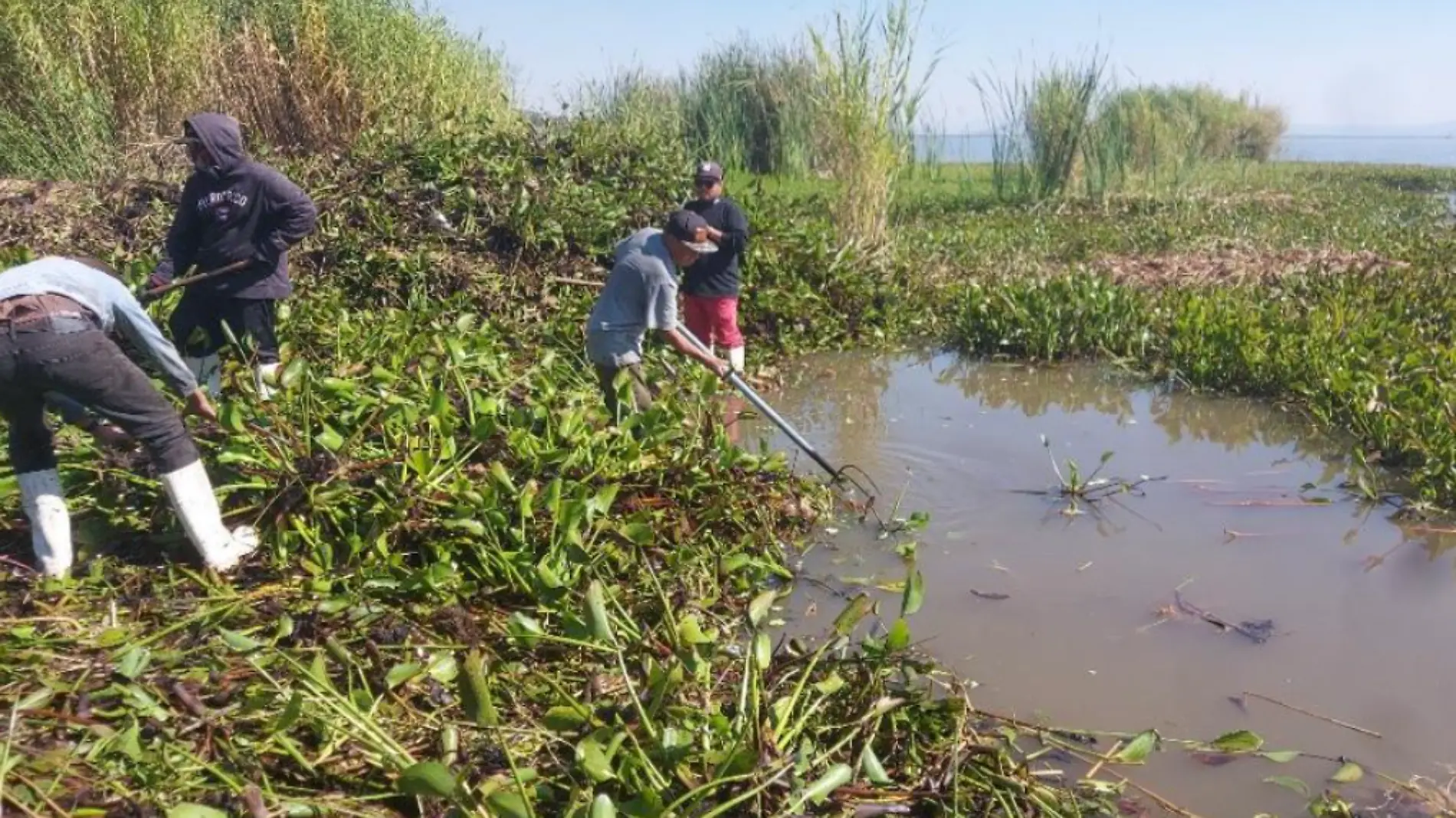 POSITIVO QUE SE PRIVILEGIE ABASTECER LA LAGUNA DE YURIRIA (1)